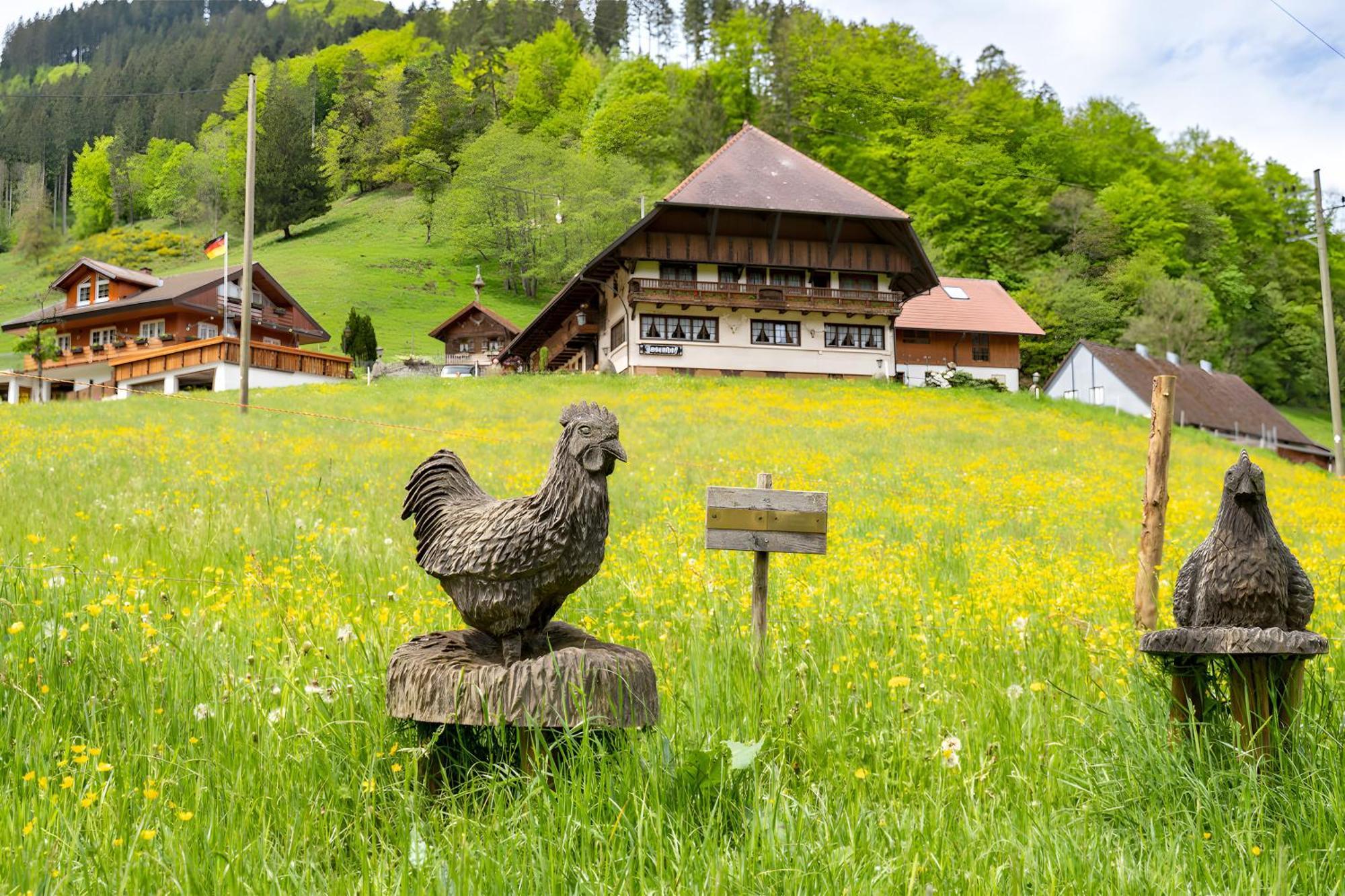 Josenhof Otel Wolfach Dış mekan fotoğraf